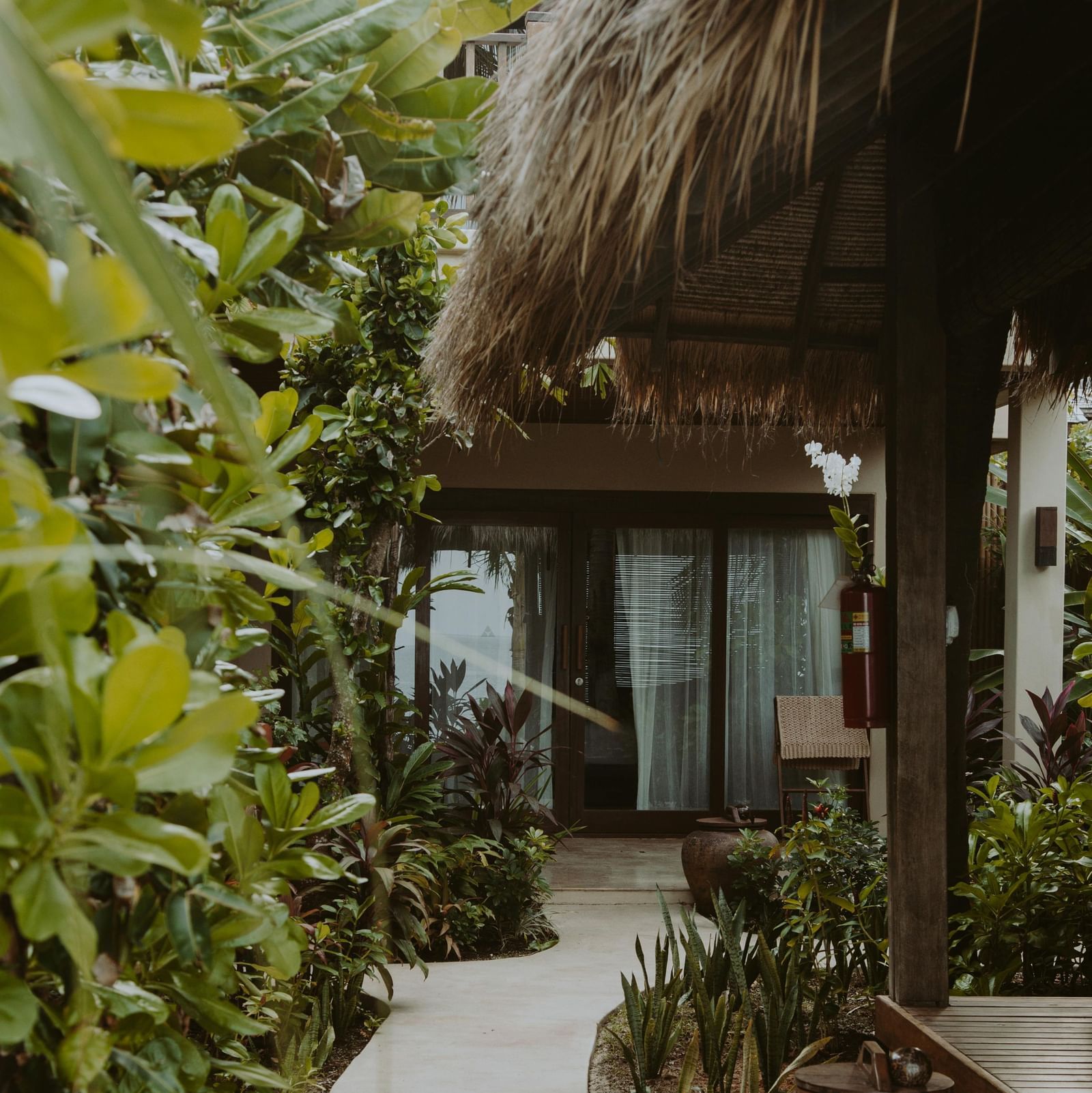 an exterior of a building surrounded by various green plants and a pathway leading to the huge glass door entrance