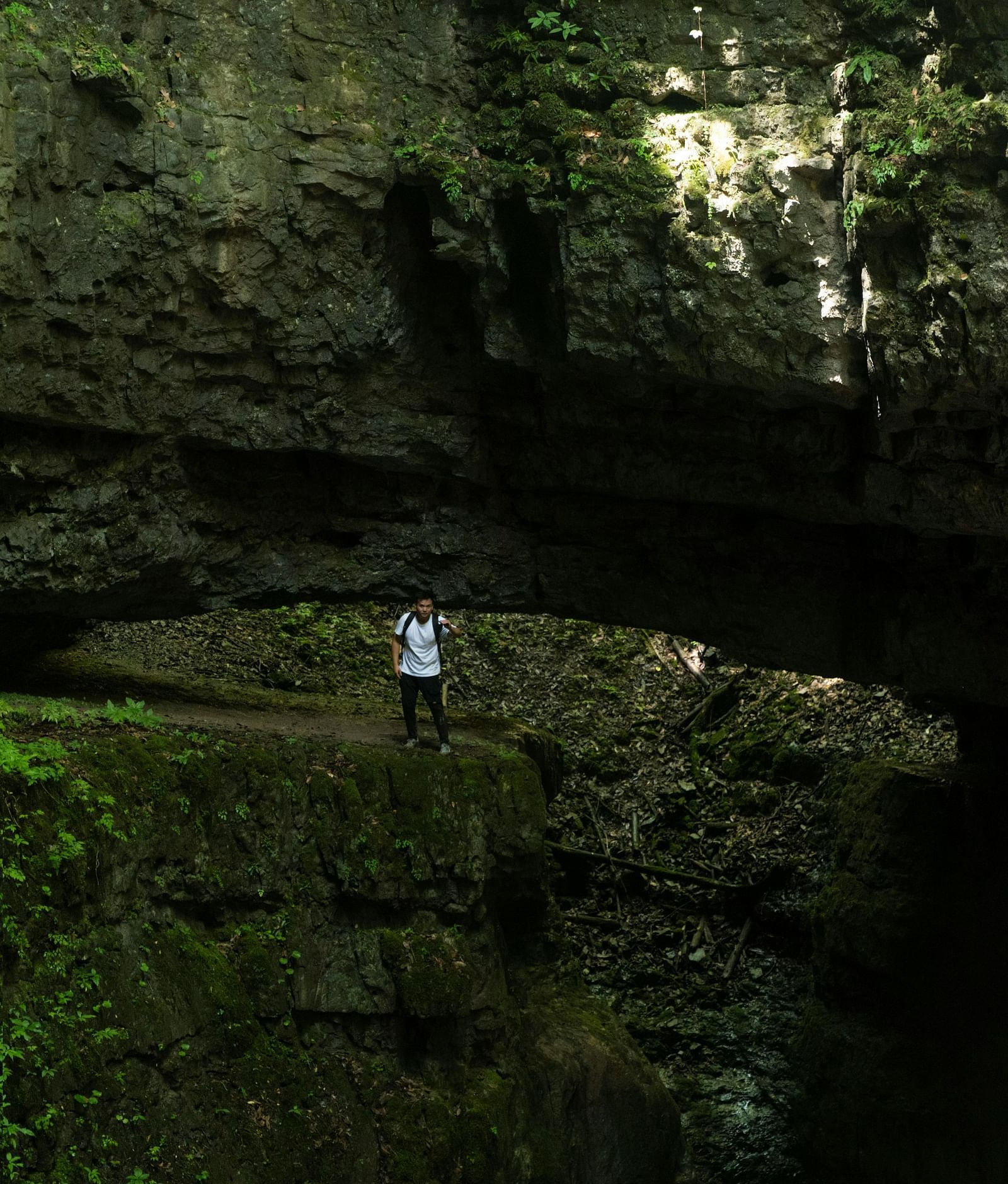 A man standing on a cliff covered with moss.