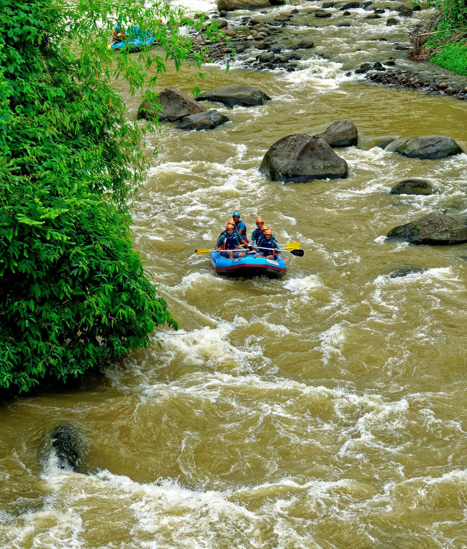 Group of people rafting in a river surrounded by lush greenery