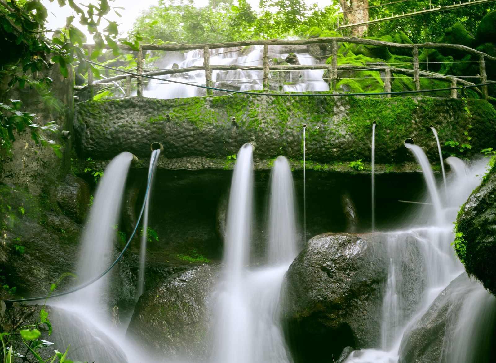An image of a waterfall surrounded by trees and plants and above that there is a bridge