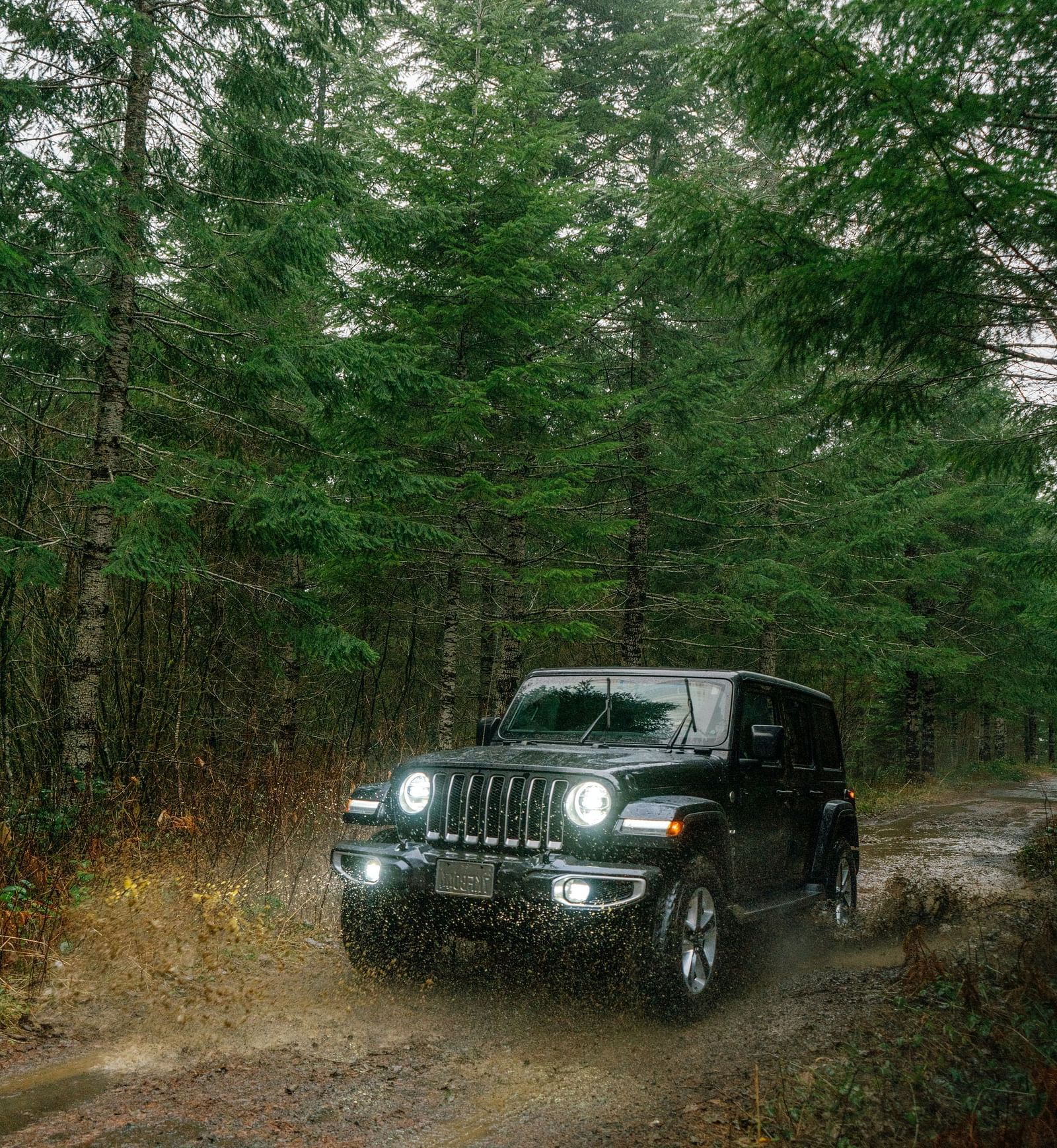 A jeep crossing the jungle | Mango Hill, Yercaud