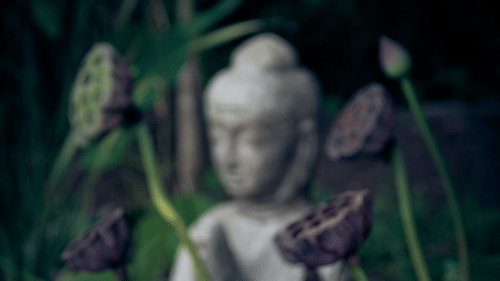 A statue of Buddha and a lotus bud