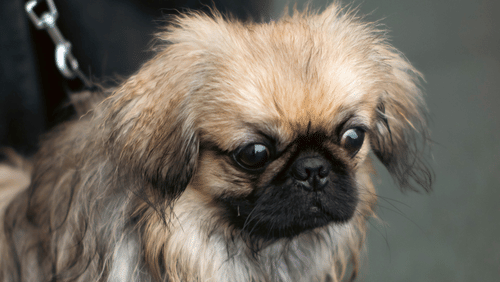 pexels-konrads-photo-13847338