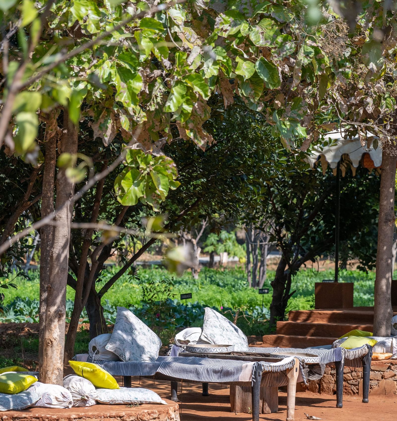 An open area in our property with comfortable seating arrangements - Utsav Camp