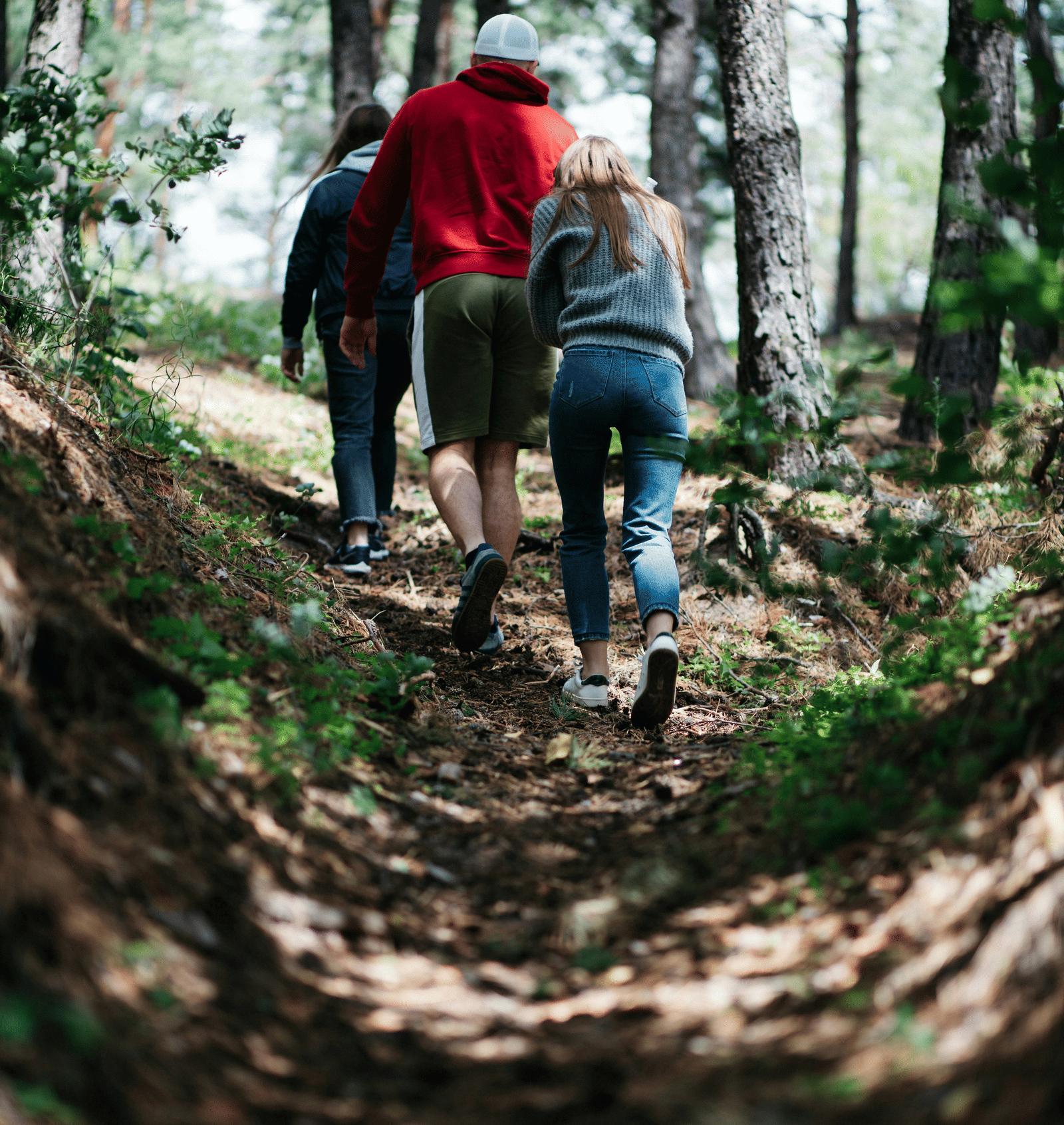 3 people wearing casual hiking gear walking away from the camera on a dirt path through a sunlit forest.