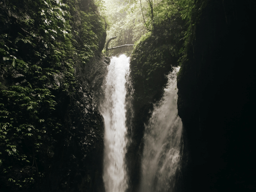 A twin waterfall pours into a dark, rocky cavern from a bright, leaf-framed opening at the top, creating a white pool.