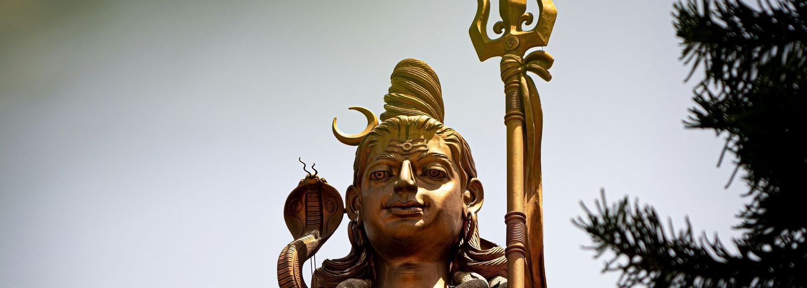 A view from afar of Vishwas Swaroopam (Nathdwara) made of bronze and a tree on the right hand side.