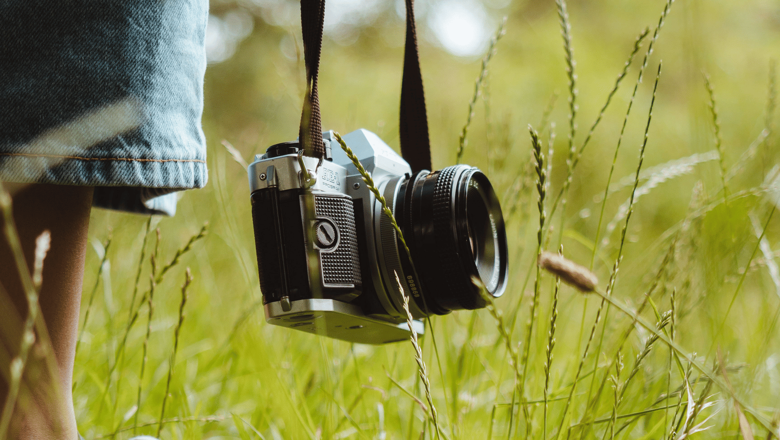 pexels-bohlemedia-1196827