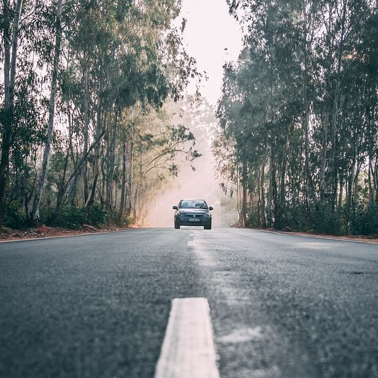 A long shot of a car on the road with trees on either sides