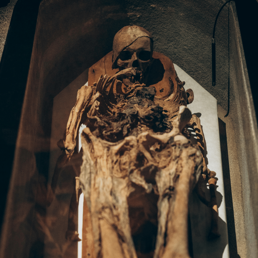 Mummified human remains displayed in a museum niche under soft lighting.
