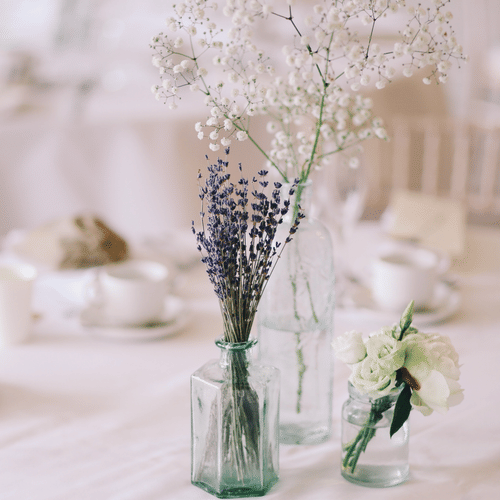 Black and white plants in glassbottle 