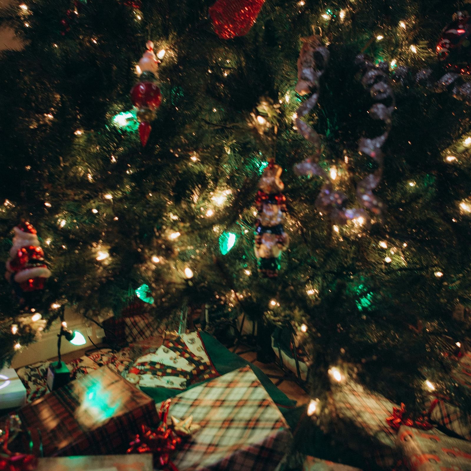 A view of gifts placed under a Christmas tree