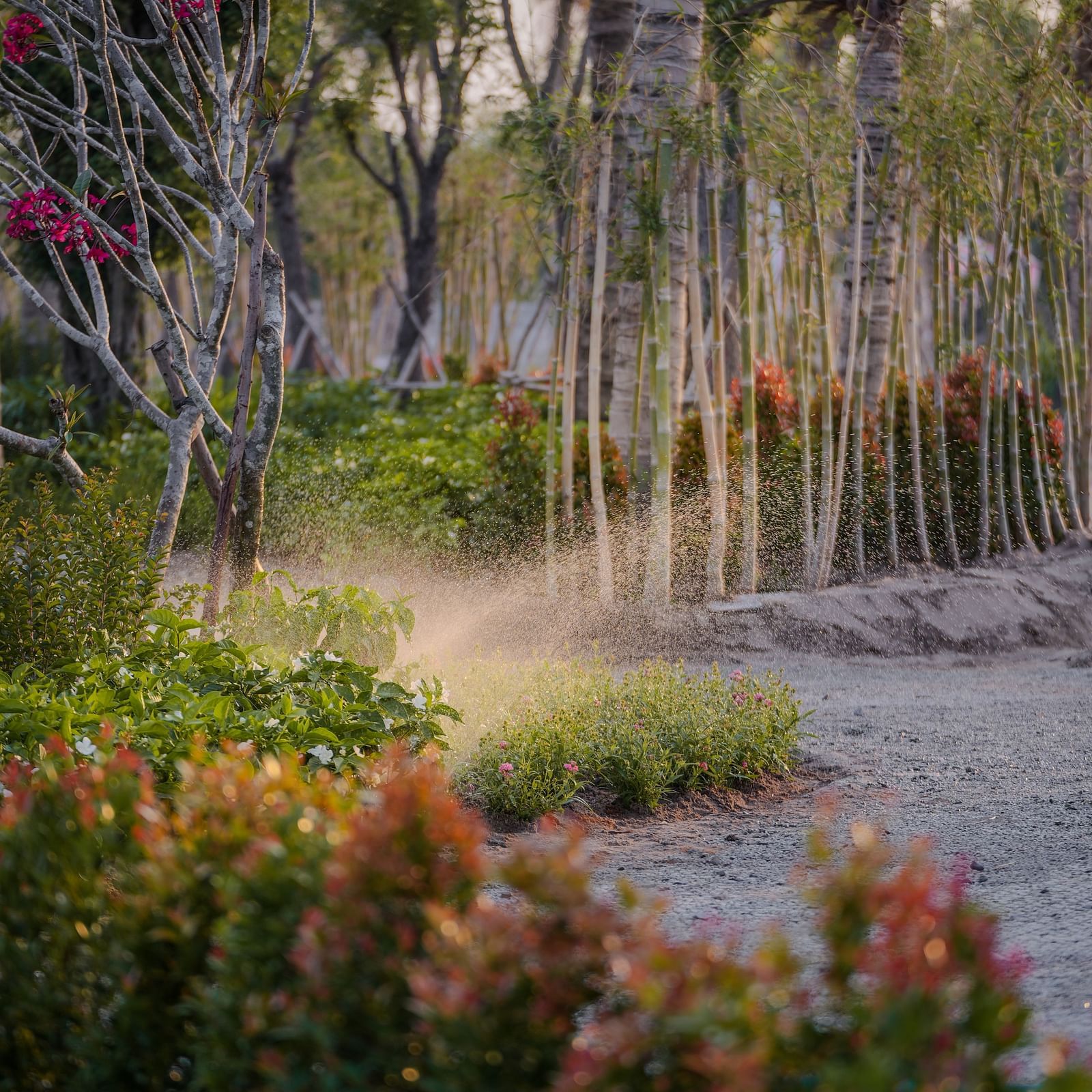 Lush, vibrant gardens featuring colorful flowers and misting water features create a tranquil, ethereal atmosphere, with palm trees visible in the soft light.