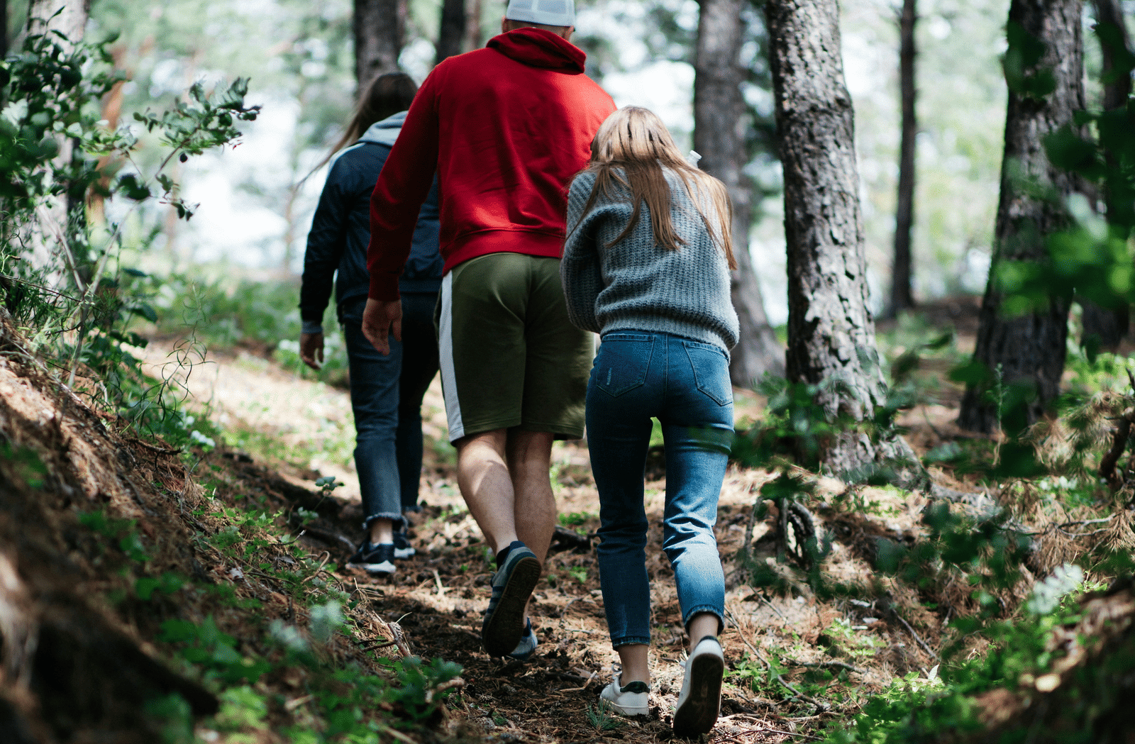 3 people wearing casual hiking gear walking away from the camera on a dirt path through a sunlit forest.
