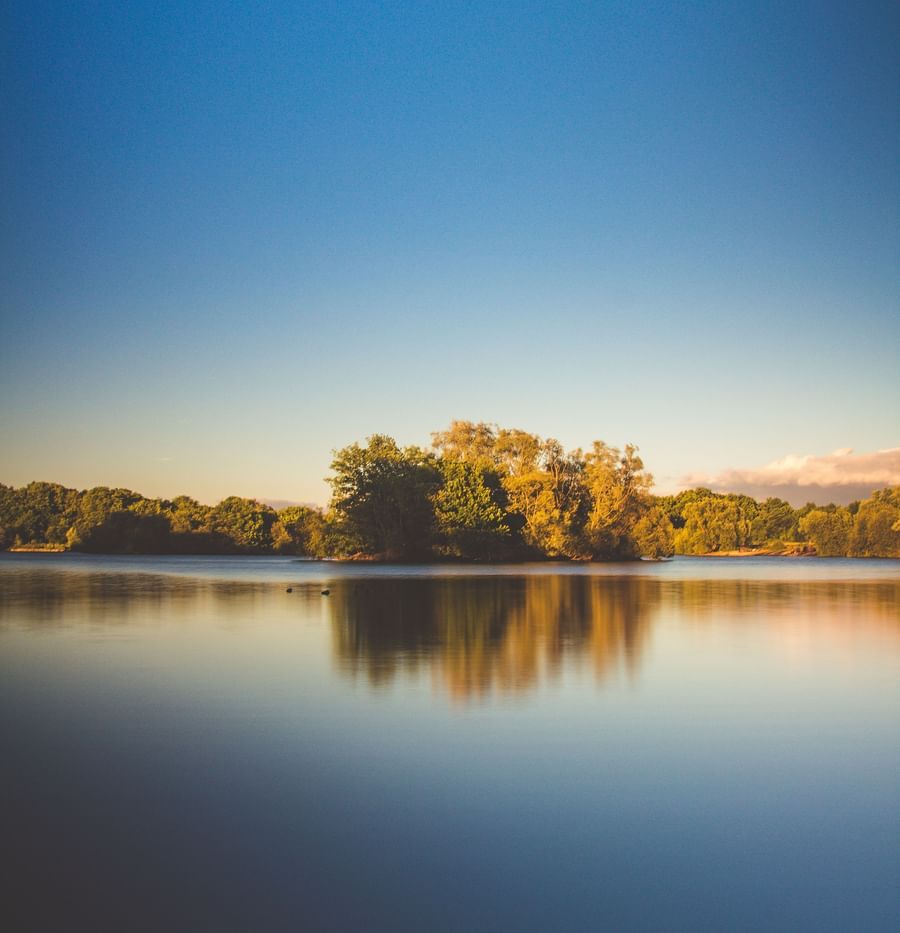 view of a lake with forest