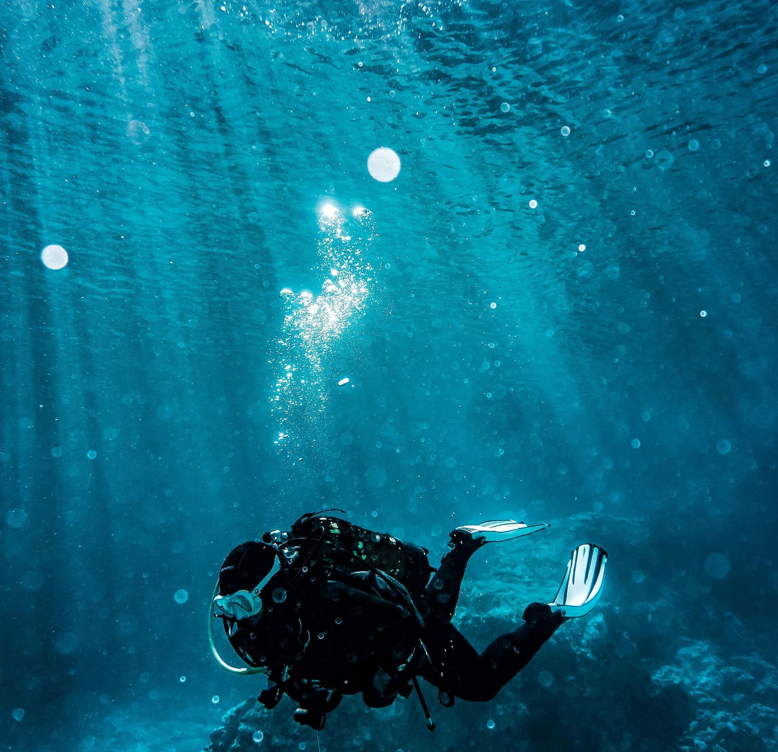 A person snorkelling under water