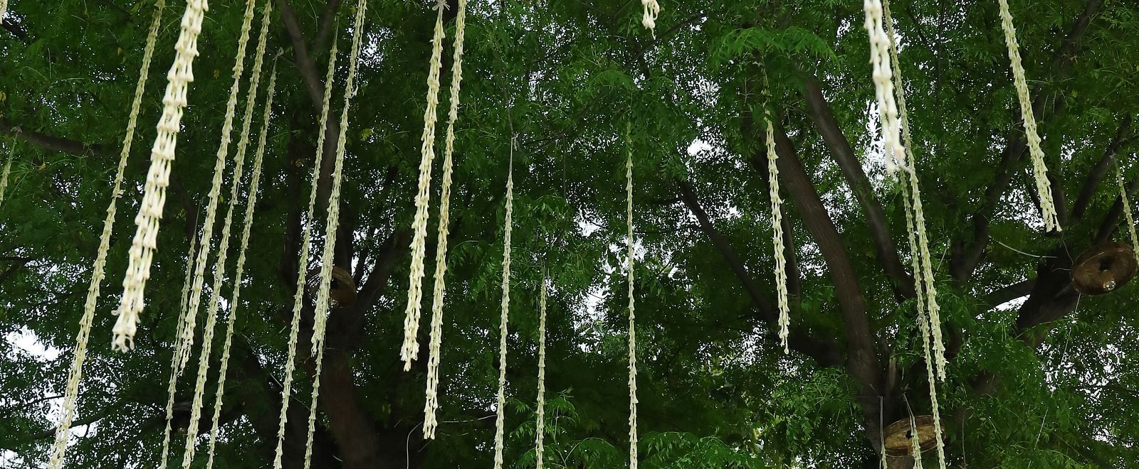 Hanging vertical floral strings from a tree at night at Tisya Farms, Gurgaon with white floral arrangements.