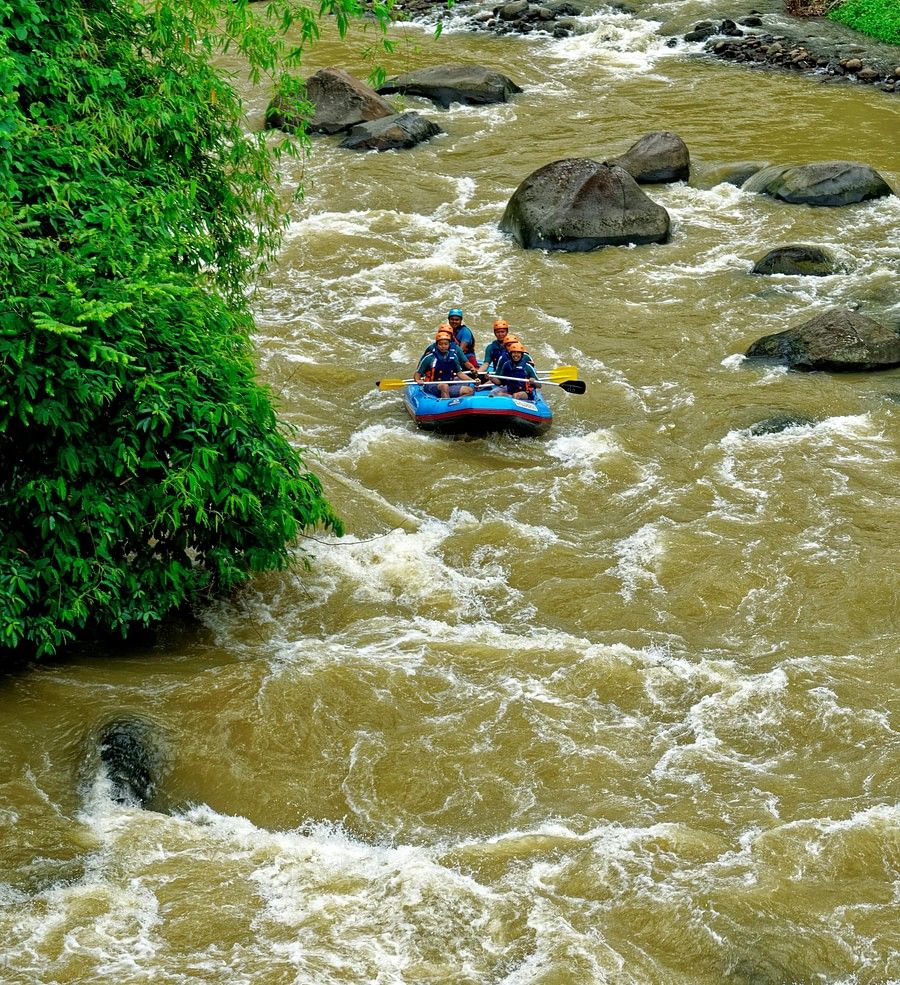 alt-text A group of people whitewater rafting on a turbulent river surrounded by lush green vegetation.