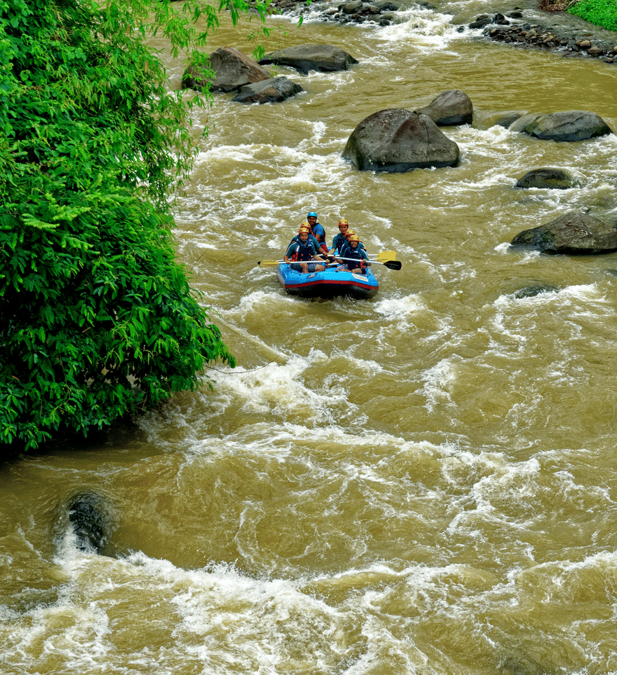 A group of people whitewater rafting on a turbulent river surrounded by lush green vegetation.