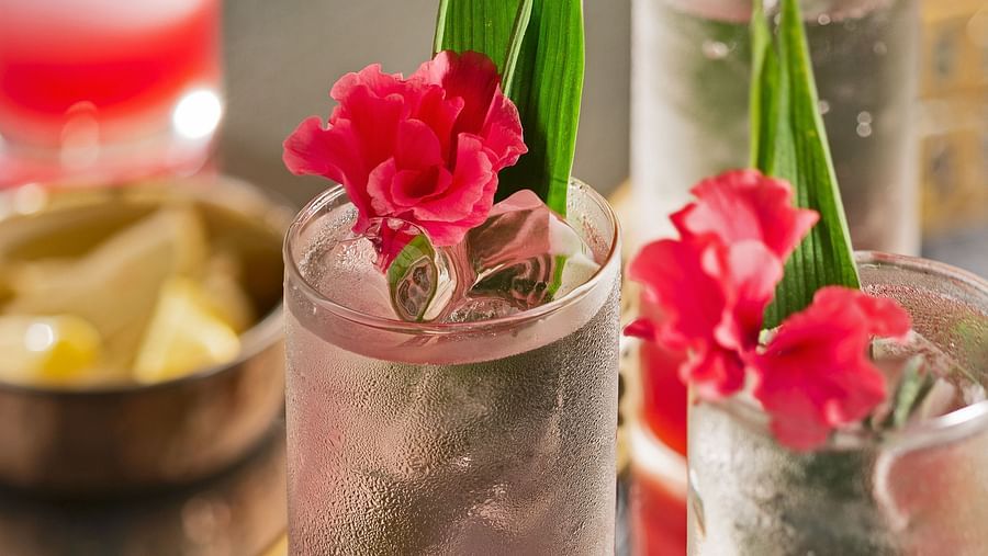 Hibiscus fizz                        