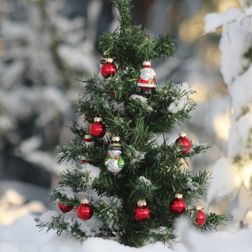 a small decorated Christmas tree 