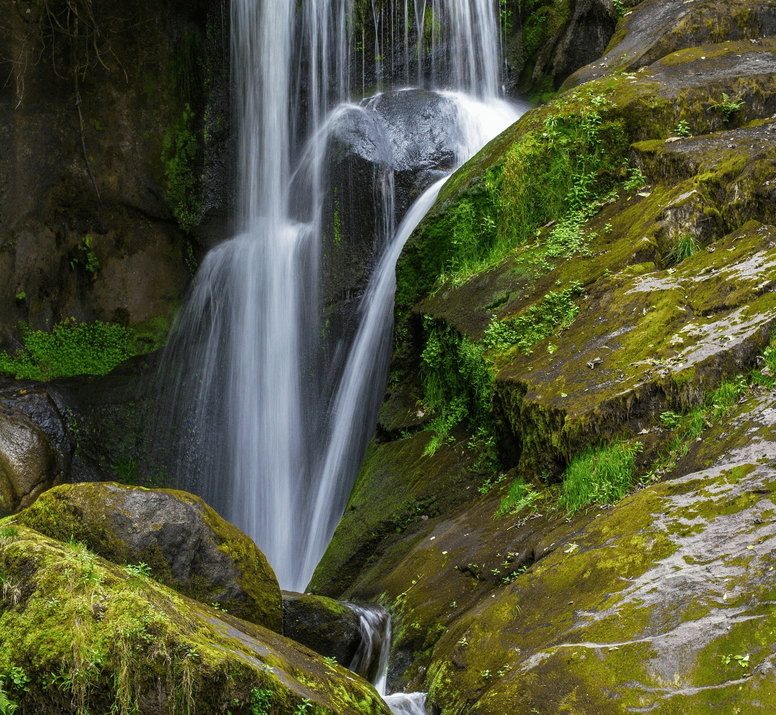 A long-exposure shot of a waterfall cascading down a moss-covered rock face in a lush forest.