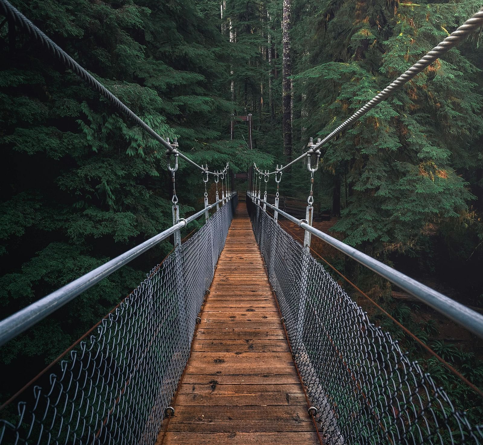 A suspension bridge with greenery around