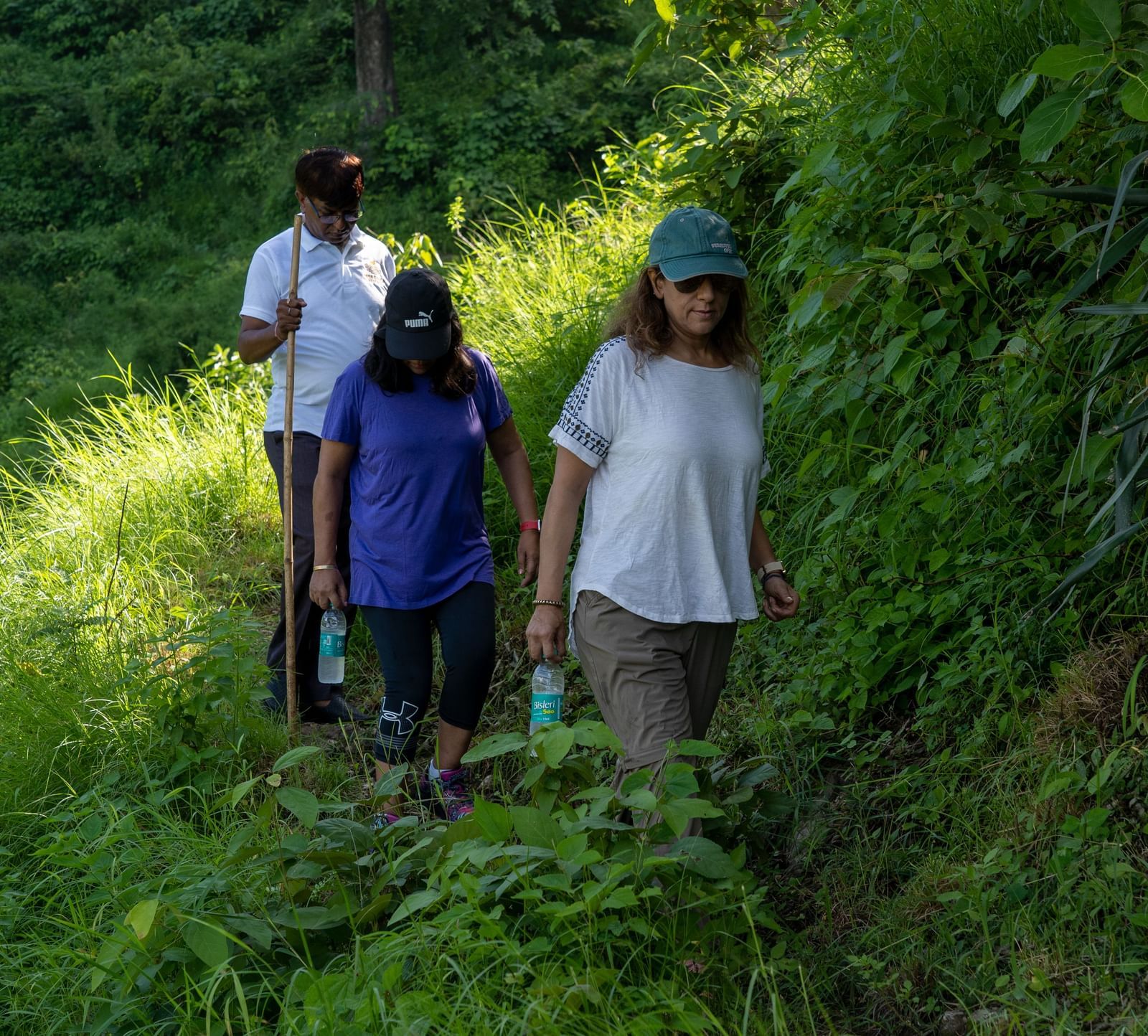 People walking through the mountain trails with greenery surrounding them.