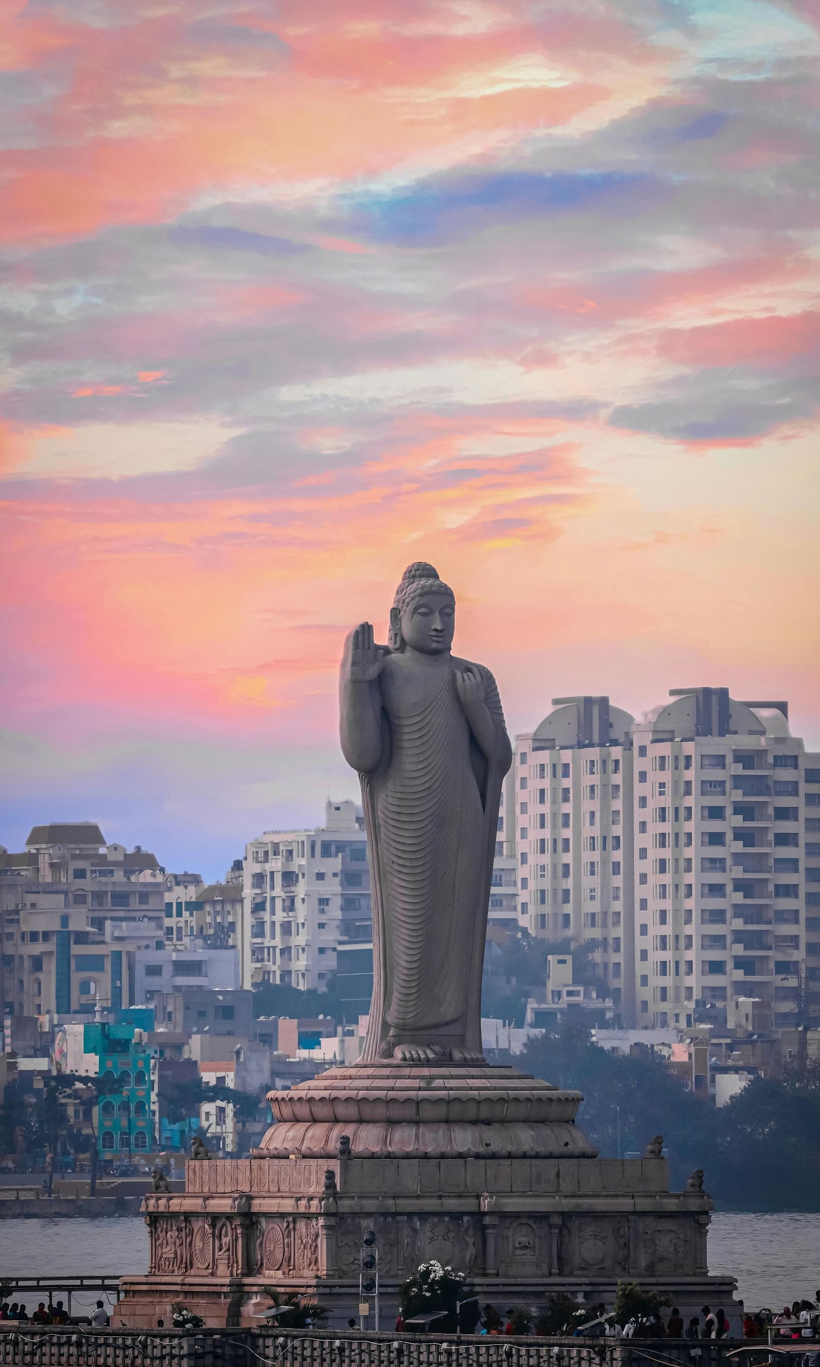 pexels-bharath-bunny-98488093-10890155