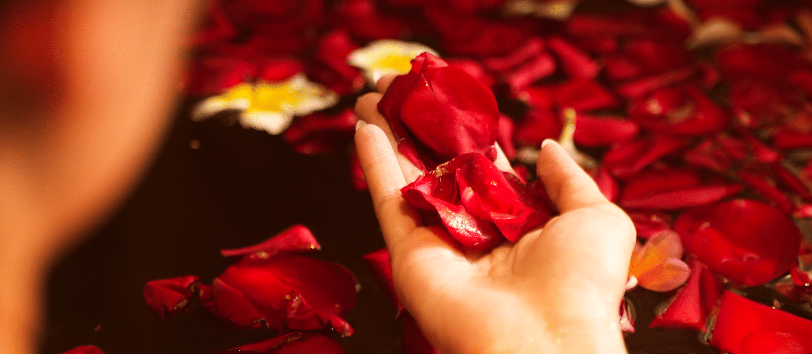 A woman touching flower petals which are laid on a tub with water.