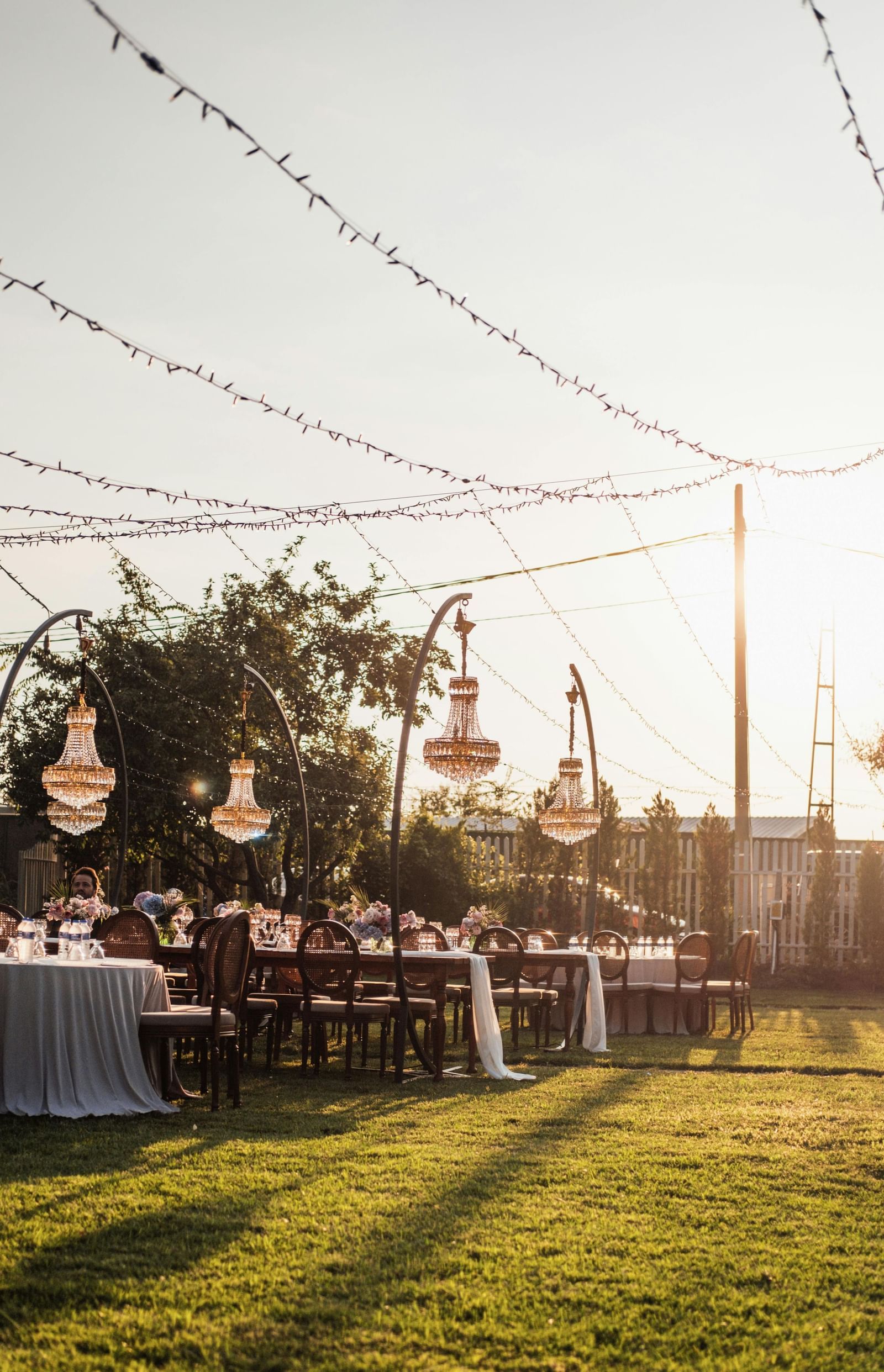 a lush green lawn with decorative strings hanging from the tall pillars as decoration on a bright sunny day