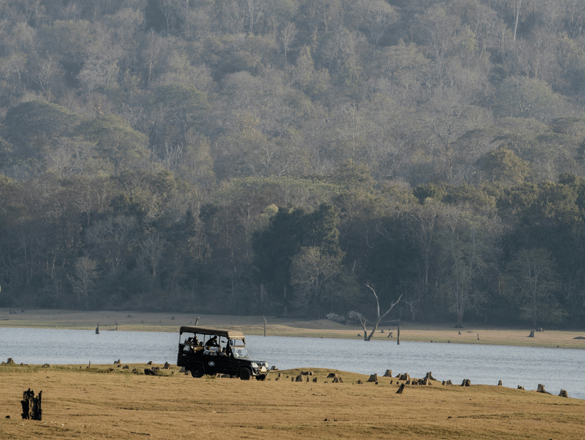 A far out view of a jeep on a safari next to Kabini River with some animals in view. It is one of the most visited tourist places near Kabini.