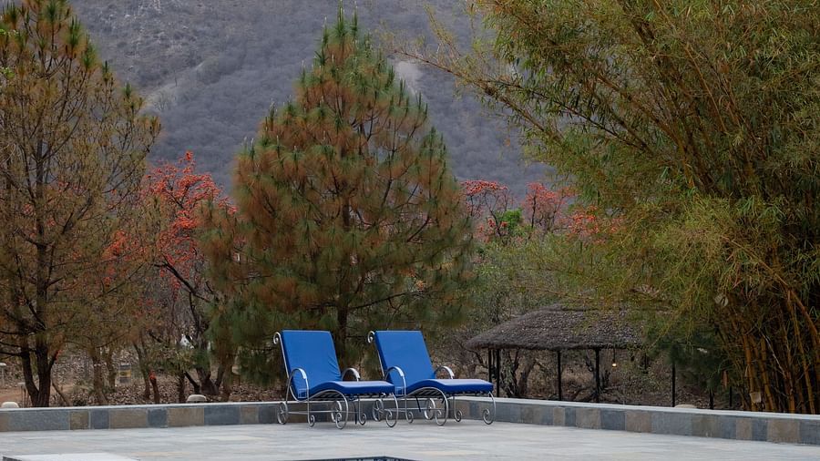 Surya Bagh Ajabgarh - Pool