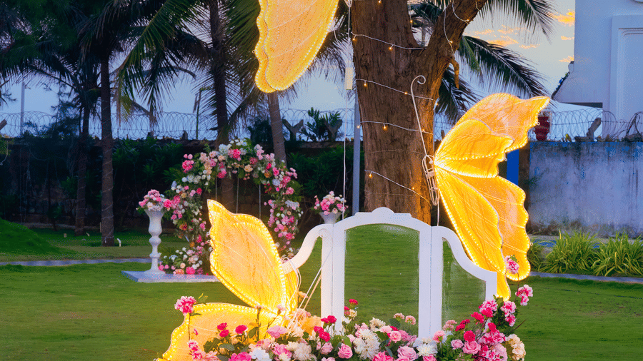 Vertical butterfly-themed decor featuring floral arrangements on a chair placed beside a coconut tree - Grande Bay Resort & Spa, Mamallapuram