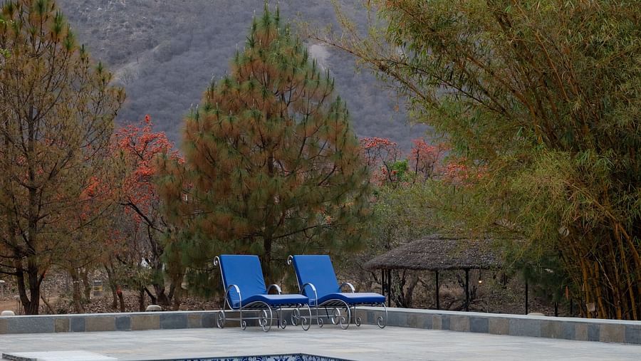 Surya Bagh Ajabgarh - Pool