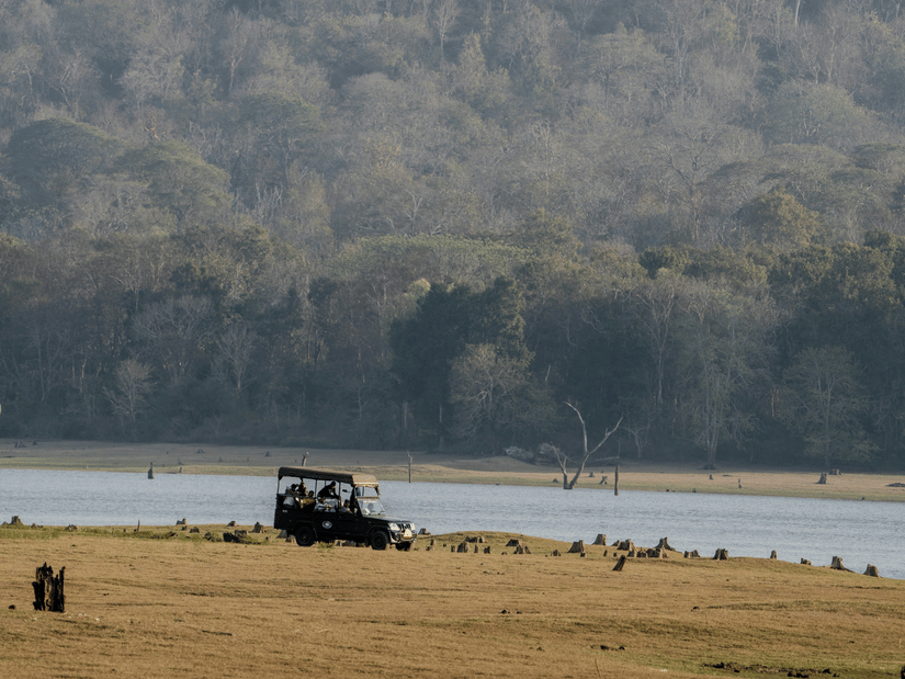 A jeep on a safari next to Kabini River with some animals in view. It is one of the most visited tourist places near Kabini.