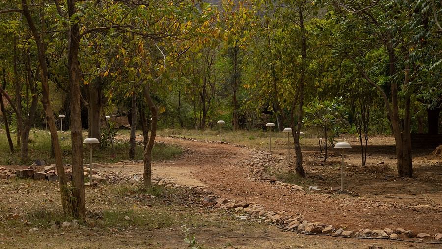 6 - Landscape 5- Surya Bagh Ajabgarh