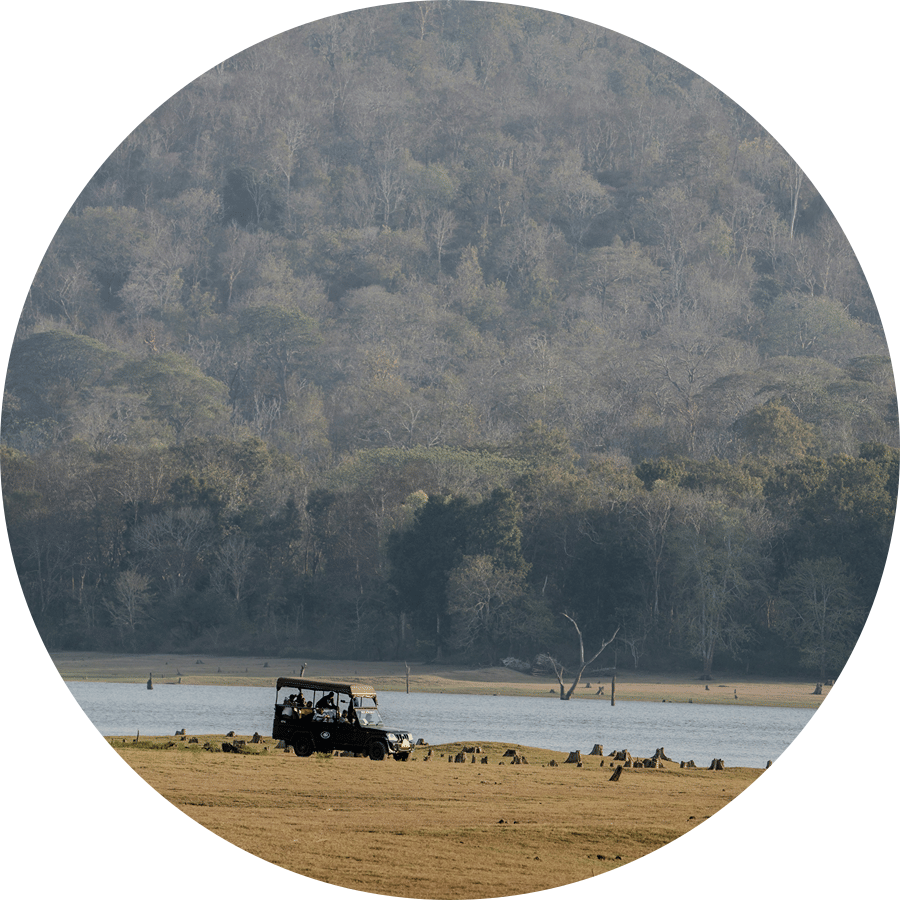 A jeep on a safari next to Kabini River with some animals in view. It is one of the most visited tourist places near Kabini.
