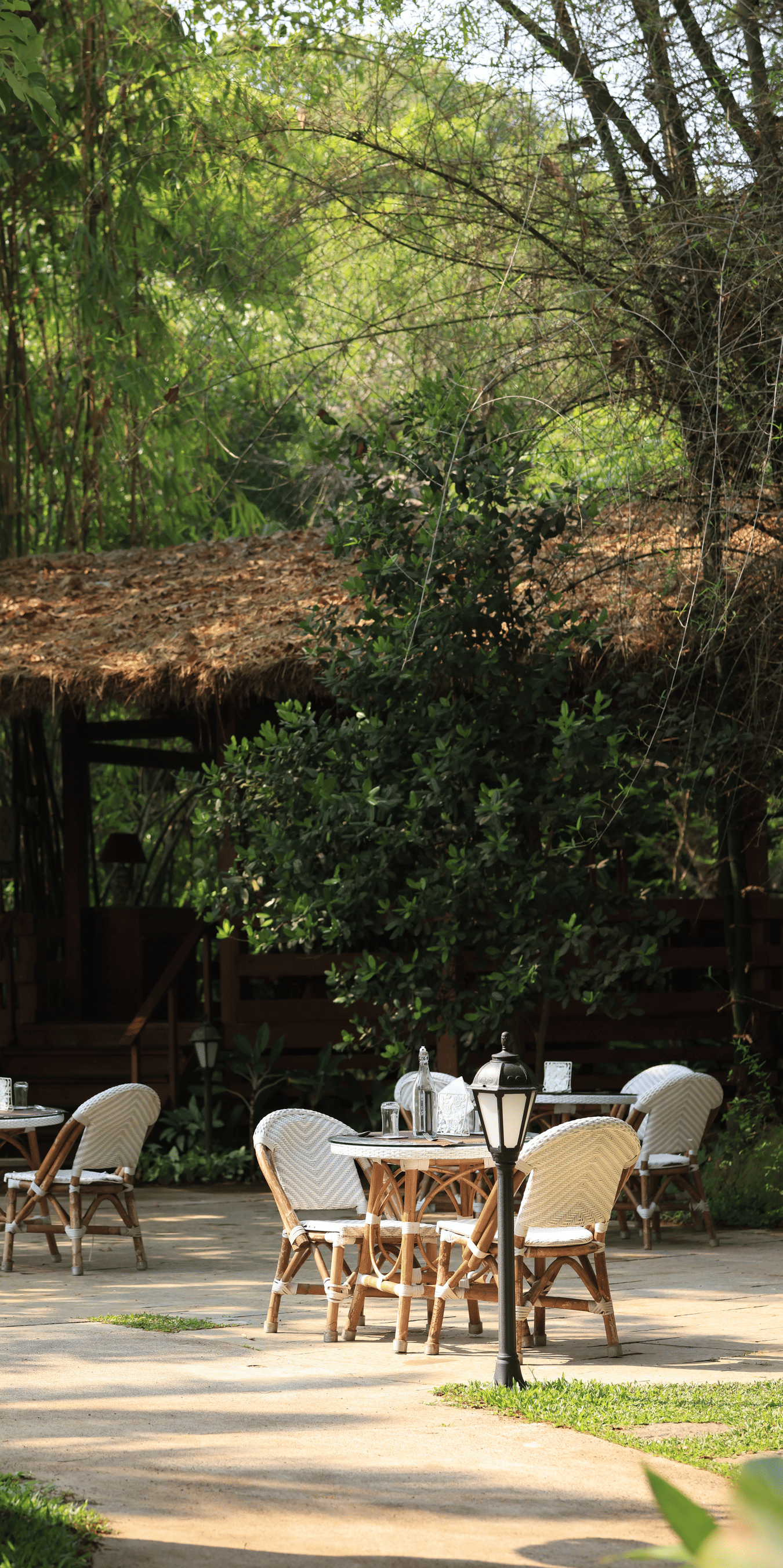 Outdoor dining area at Amanvana Spa Resort Coorg under tall trees with cozy tables on a garden path surrounded by lush greenery.