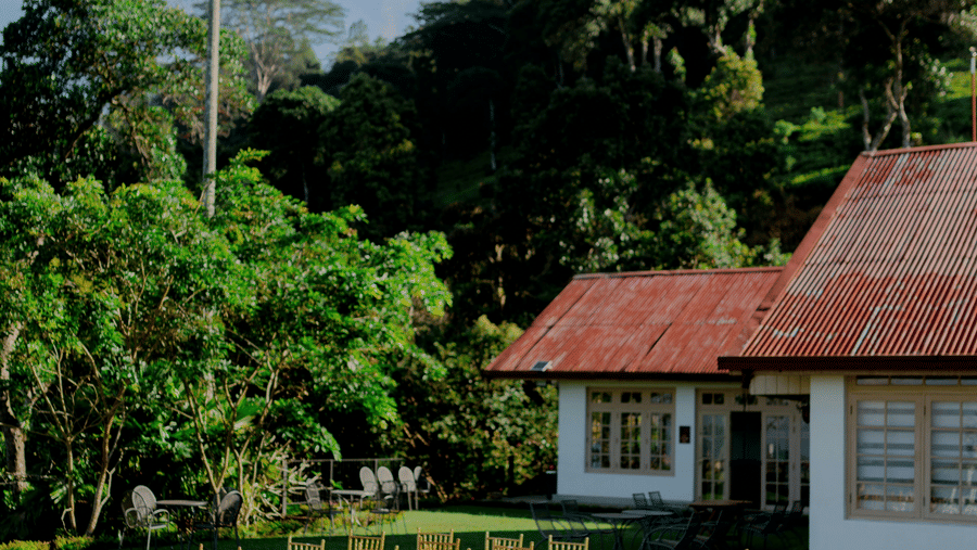 Chairs arranged outdoor on a lawn with a cottage-like building in the background on a sunny day