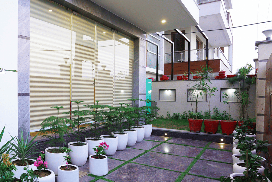 Terrace with rows of potted plants on paved flooring at Lime Tree Hotel, Pulkit, Gurgaon