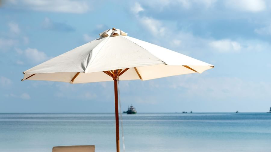 pexels-quang-nguyen-vinh-3355732