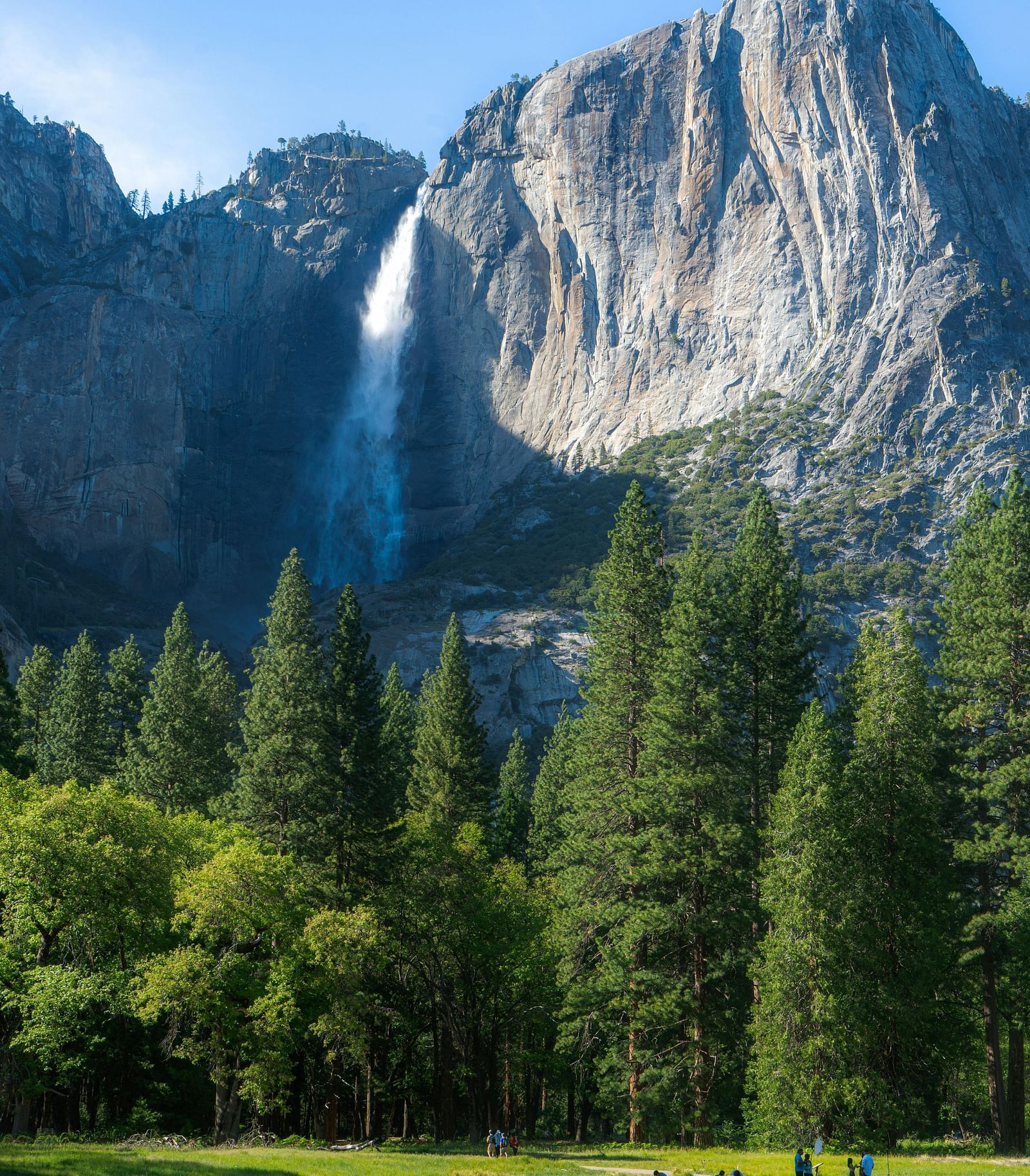 A stunning waterfall cascades down a towering granite cliff surrounded by lush greenery and tall pine trees.
