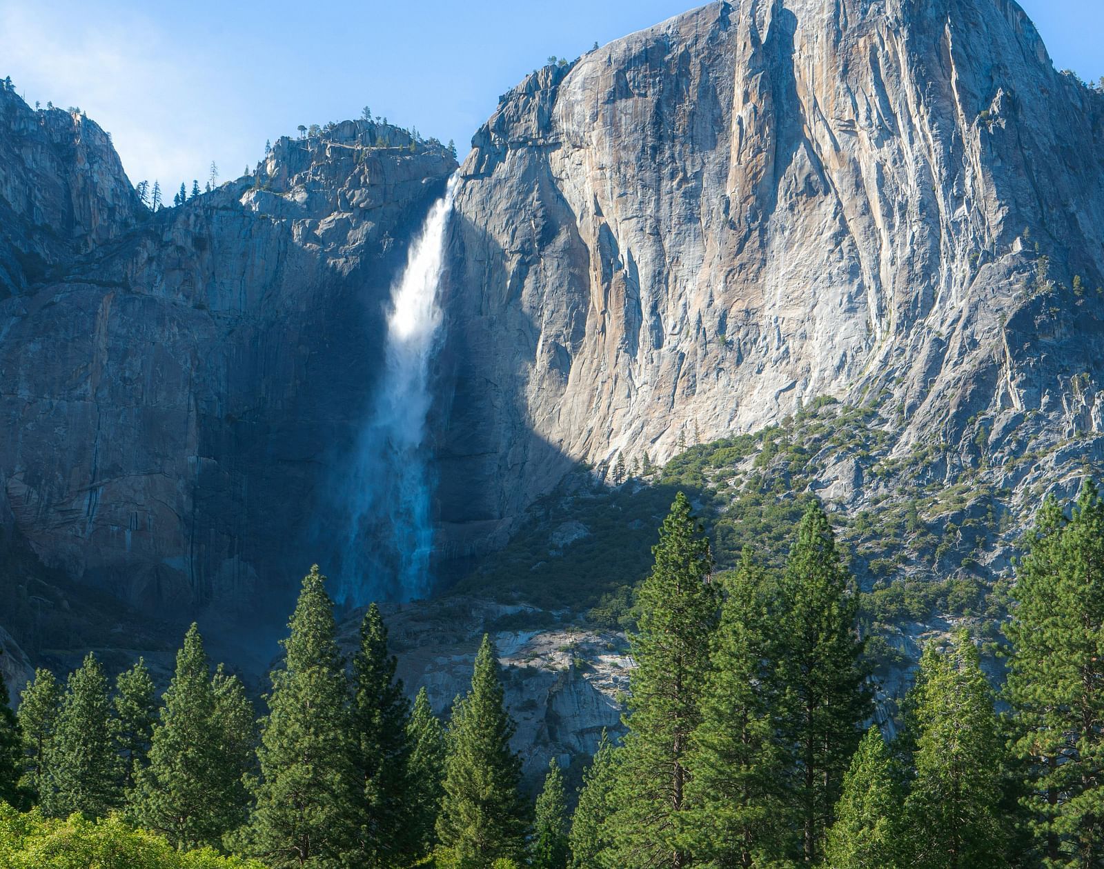 A stunning waterfall cascades down a towering granite cliff surrounded by lush greenery and tall pine trees.