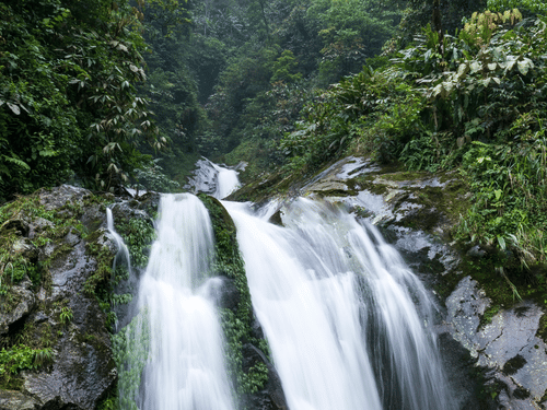 A wide, silky waterfall flows over mossy grey rocks into a hidden forest pool, surrounded by thick green foliage.