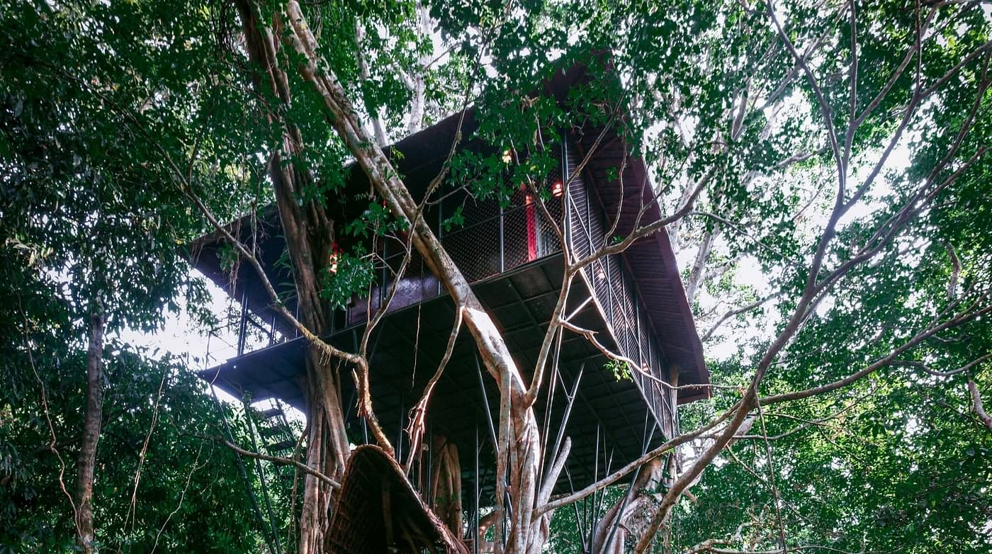 A tree house elevated above the forest floor amidst greenery | Vythiri Resort. Wayanad