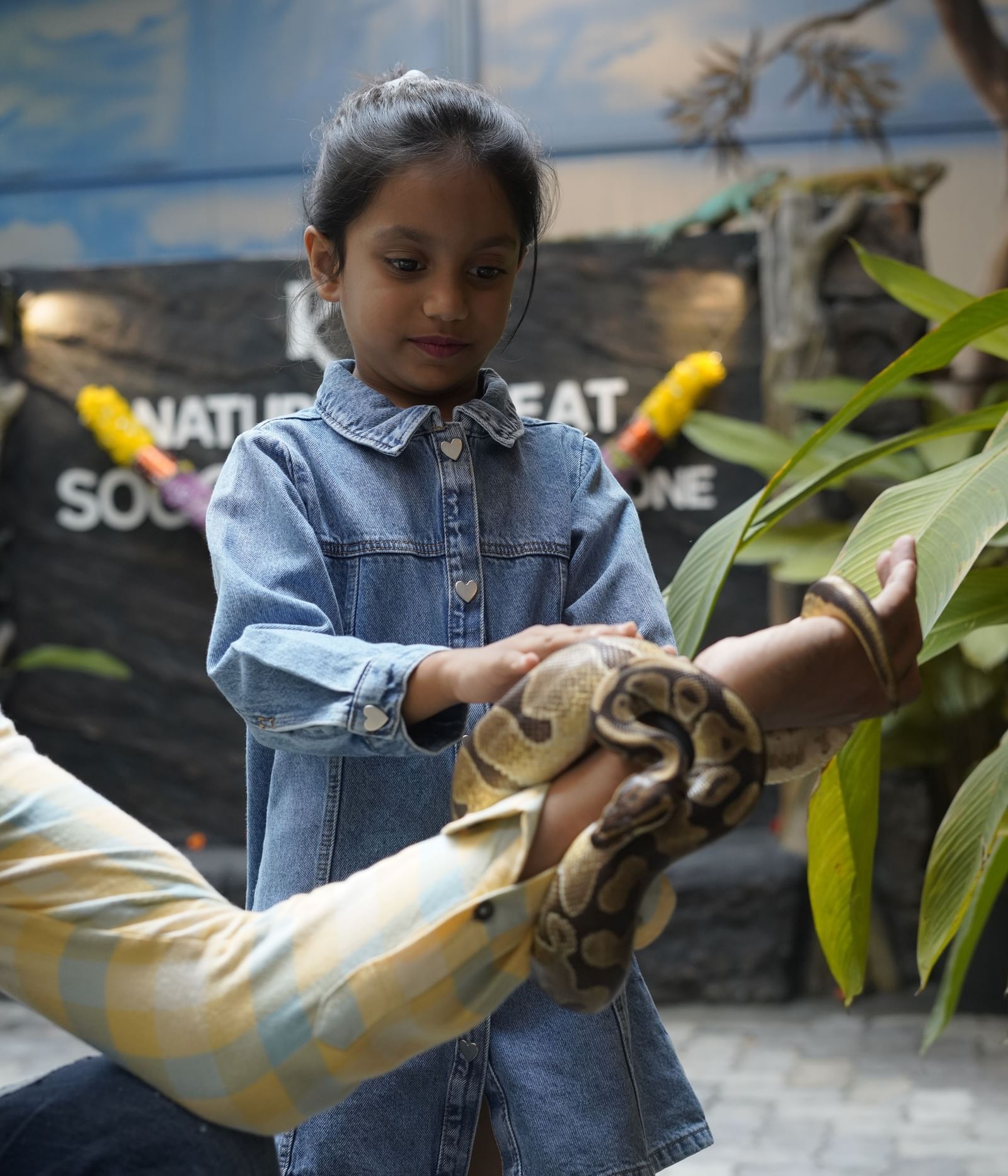 A young girl interacting with a snake under supervision at the Aviary & Exotic Pets Zone.