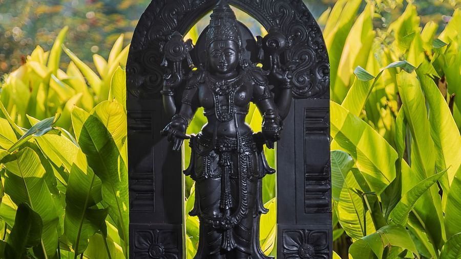 Ayurveda 16