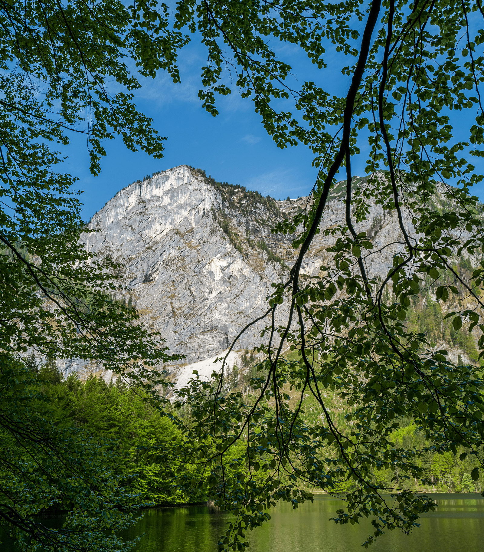 a serene lake with a huge mountain range in the background