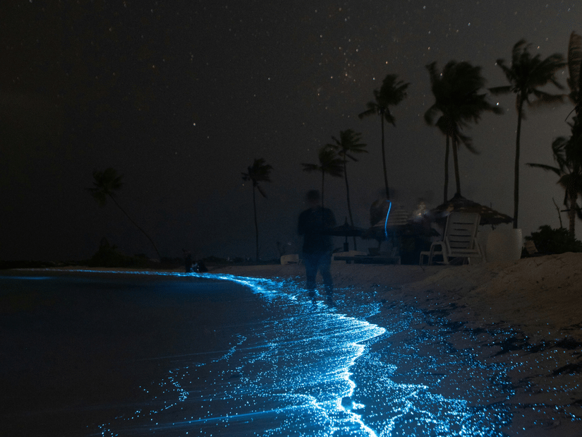 A man walking on a bio luminescent beach shore.